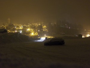 Nevicata intensa 003 bosco